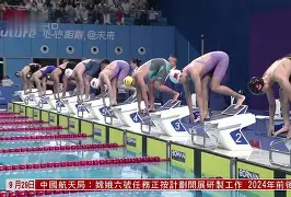 星空体育- 游泳夜战：江南银狐队绝杀东城猎隼队，速度优势明显复盘值得玩味